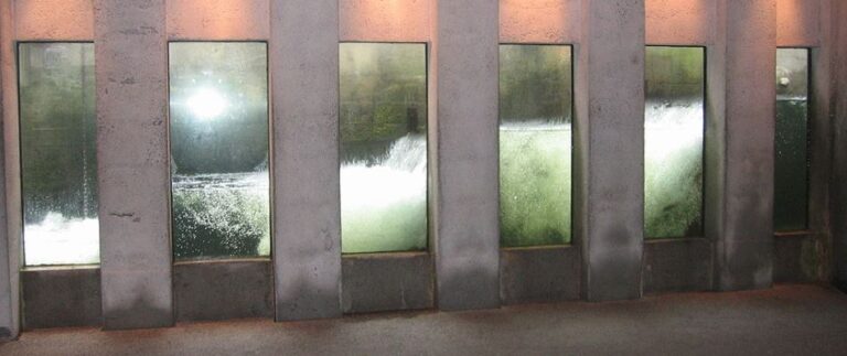 New Product: Underwater Windows