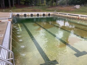 Livingston Park Pool main pool pre renovation