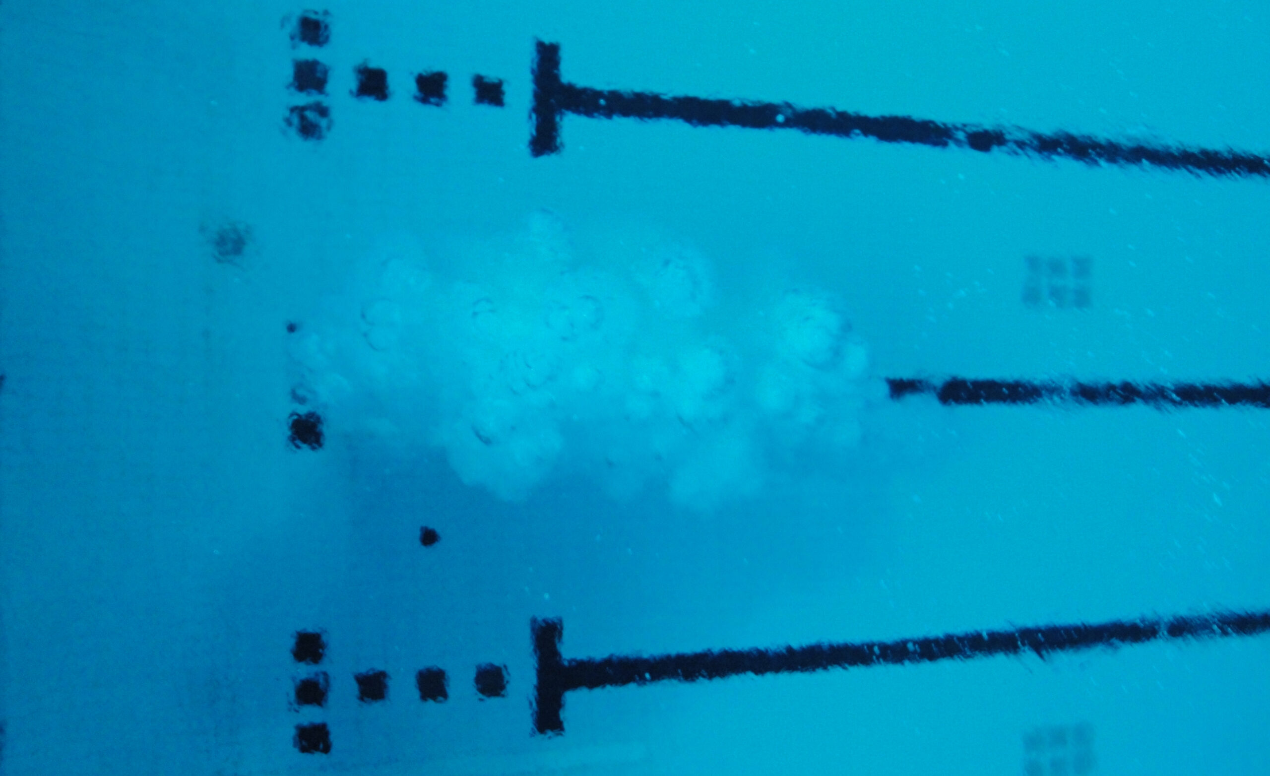Sparger Bubbles